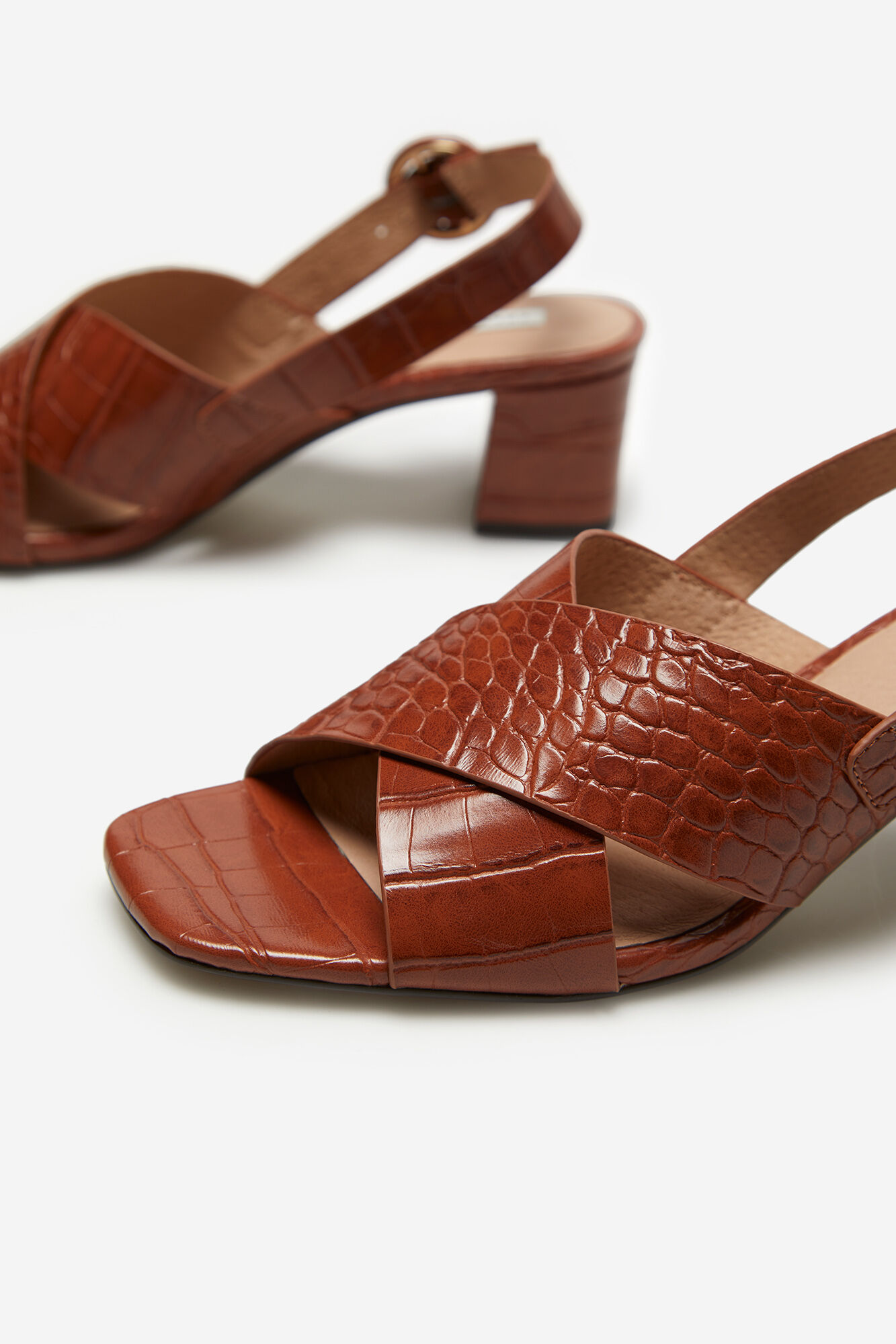 sandal crocodile
