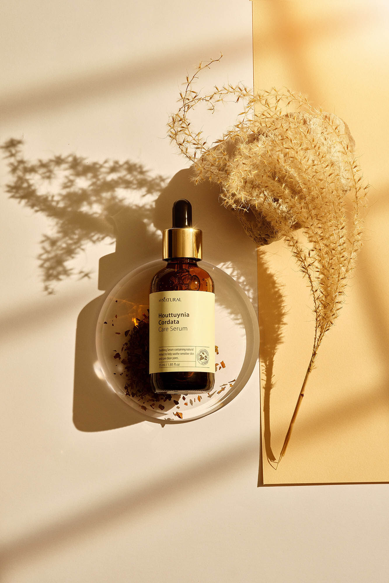 All natural S&eacute;rum houttuynia cordata