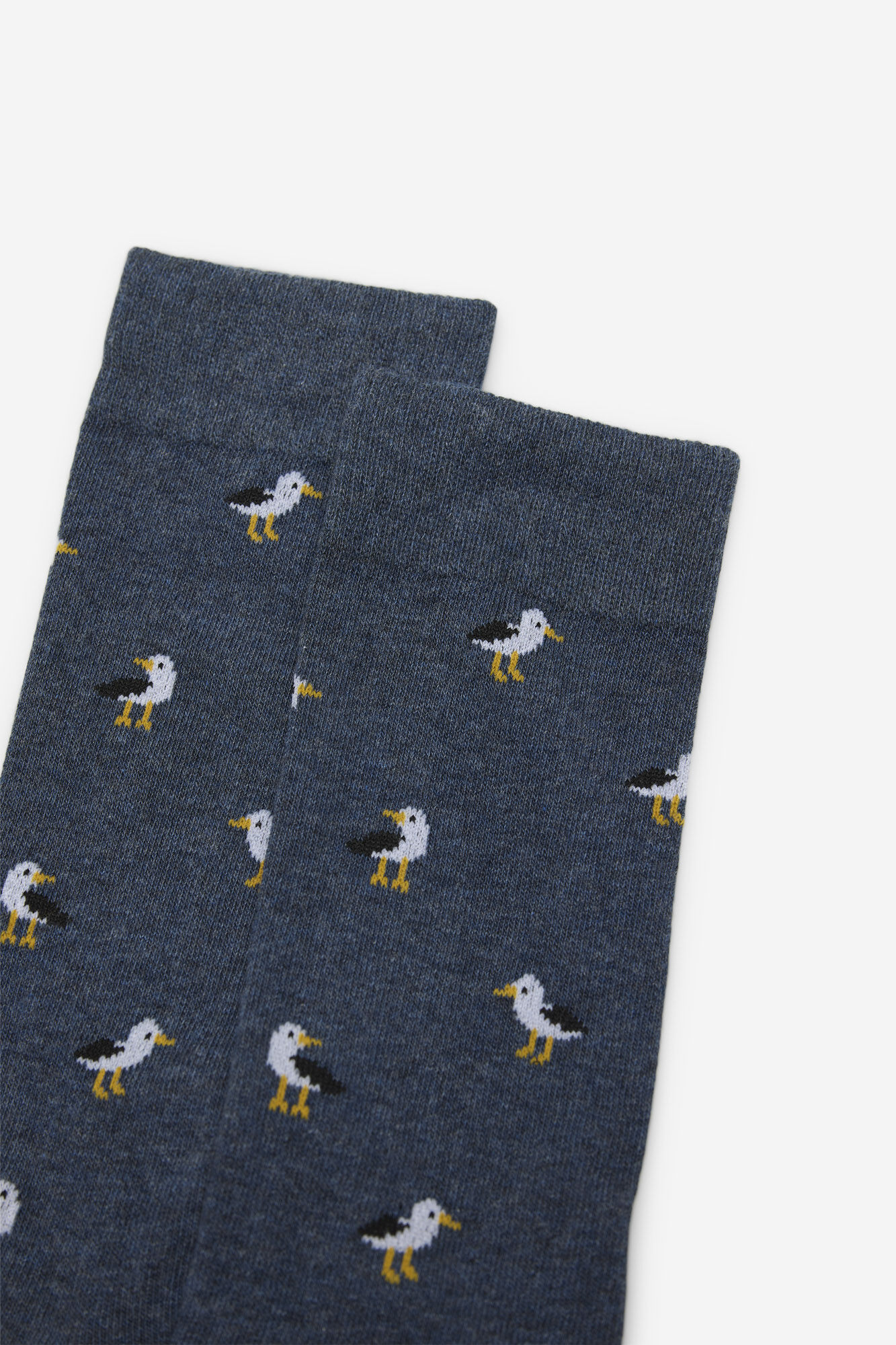 Cortefiel Seagull print sock