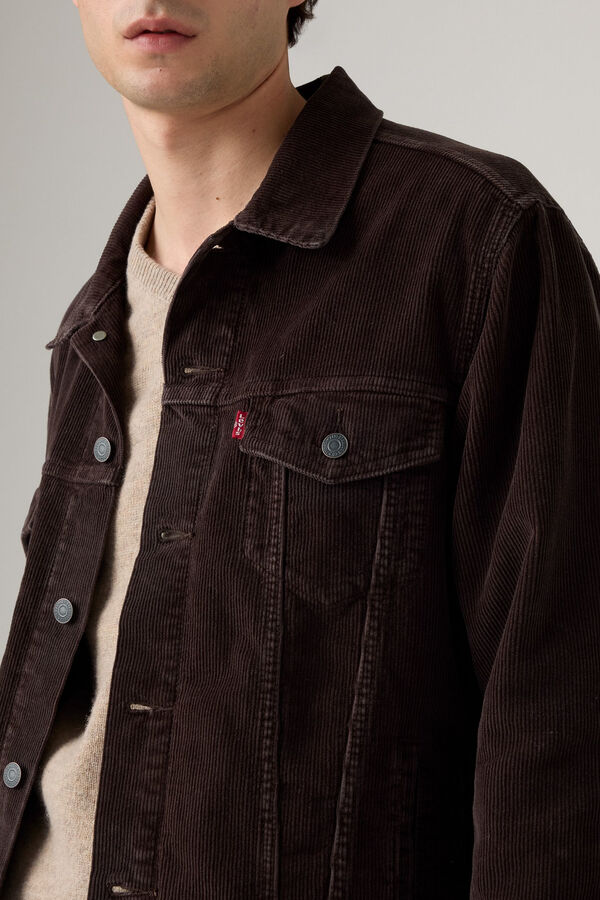 Levi's Blusão de veludo cotelê Levis®  Castanho