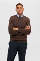 Selected Crew neck jumper in 100% cotton Brown