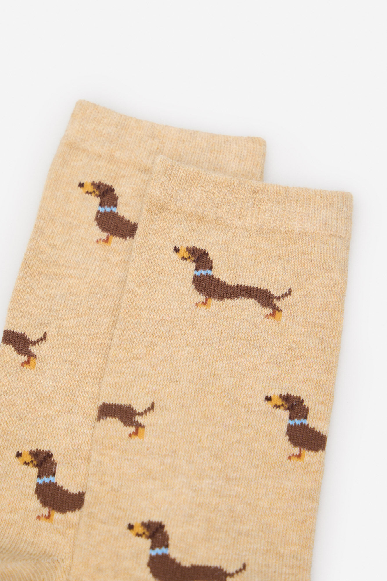 Cortefiel Dachshund long sock
