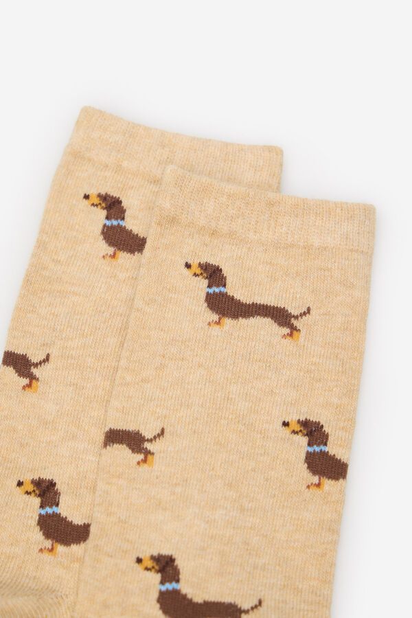 Cortefiel Dachshund meia longa Tostado