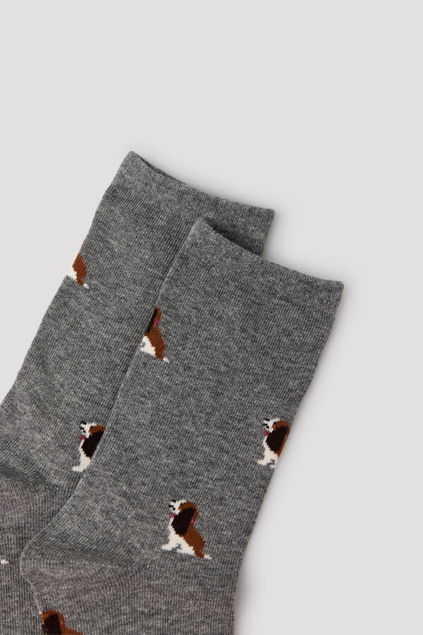 Cortefiel Dog long socks Grey