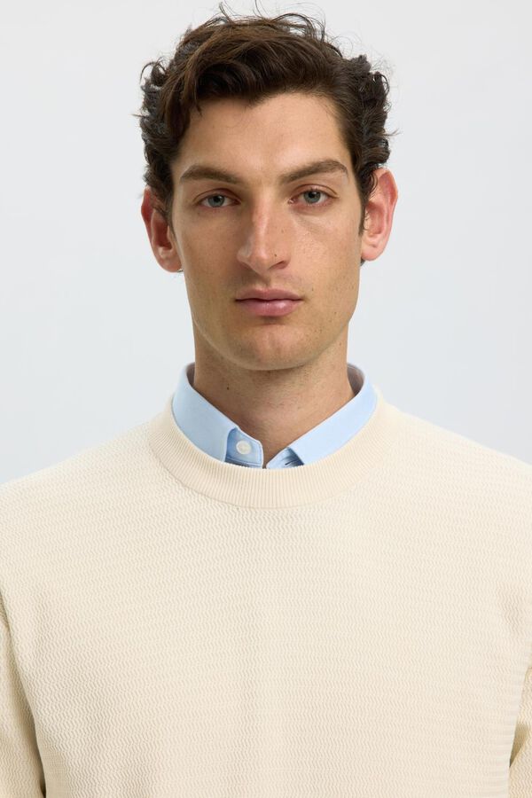 Selected Camisola em algod&atilde;o org&acirc;nico Tostado