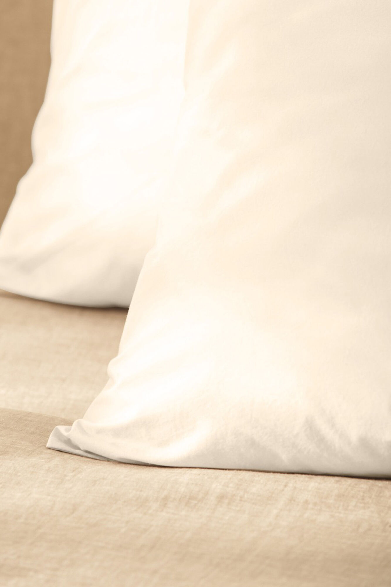 Bassols Fronha Florence