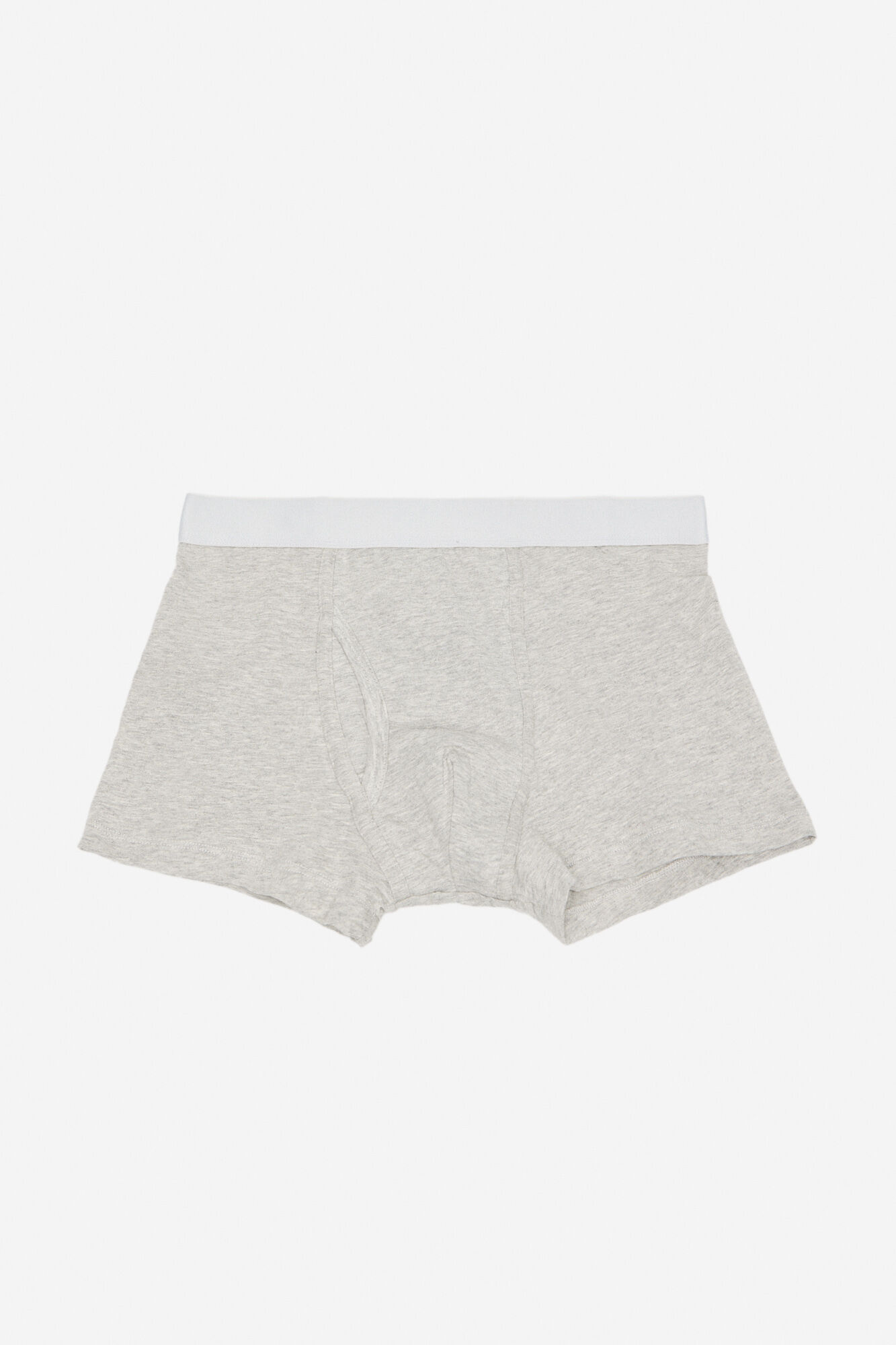 Boxer punto