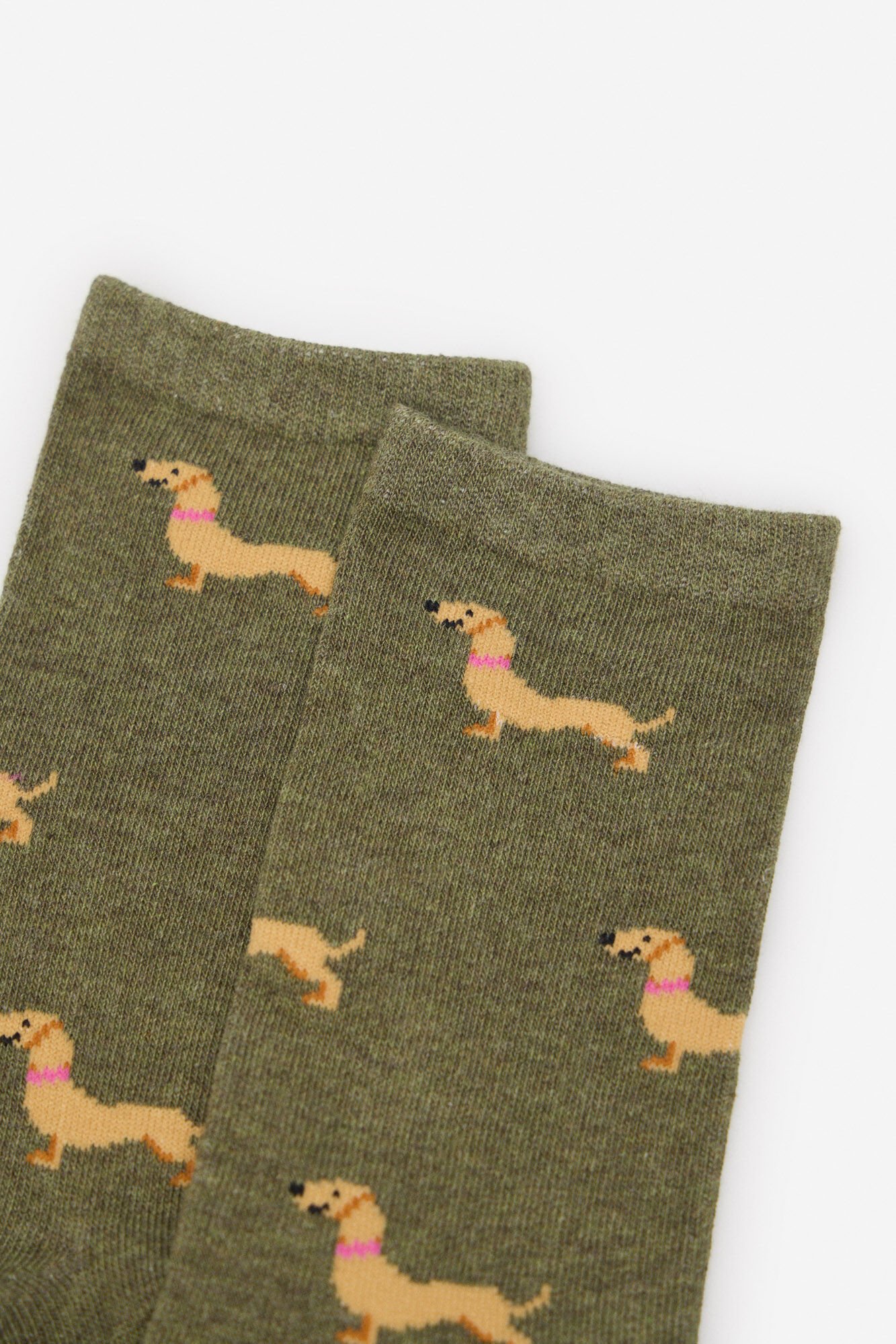 Cortefiel Dachshund long sock