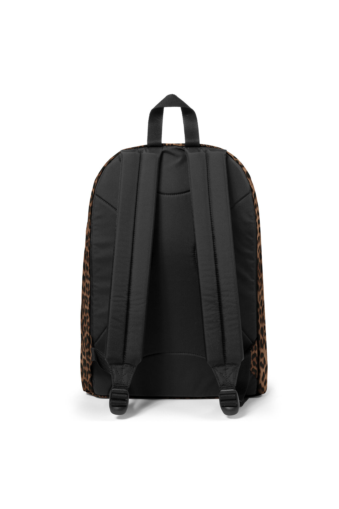 Mochilas springfield hombre sales