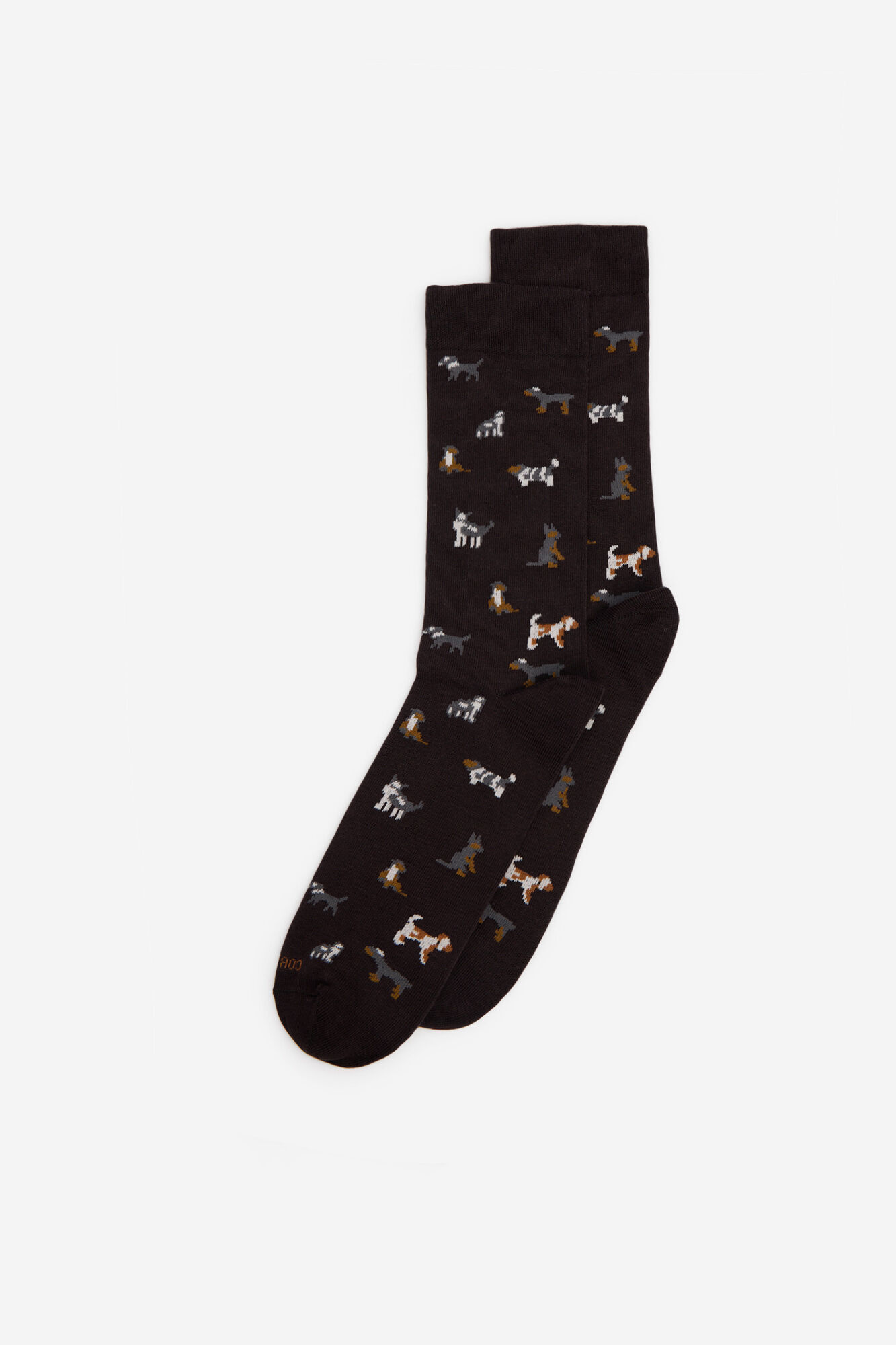 Cortefiel Dog drawing sock