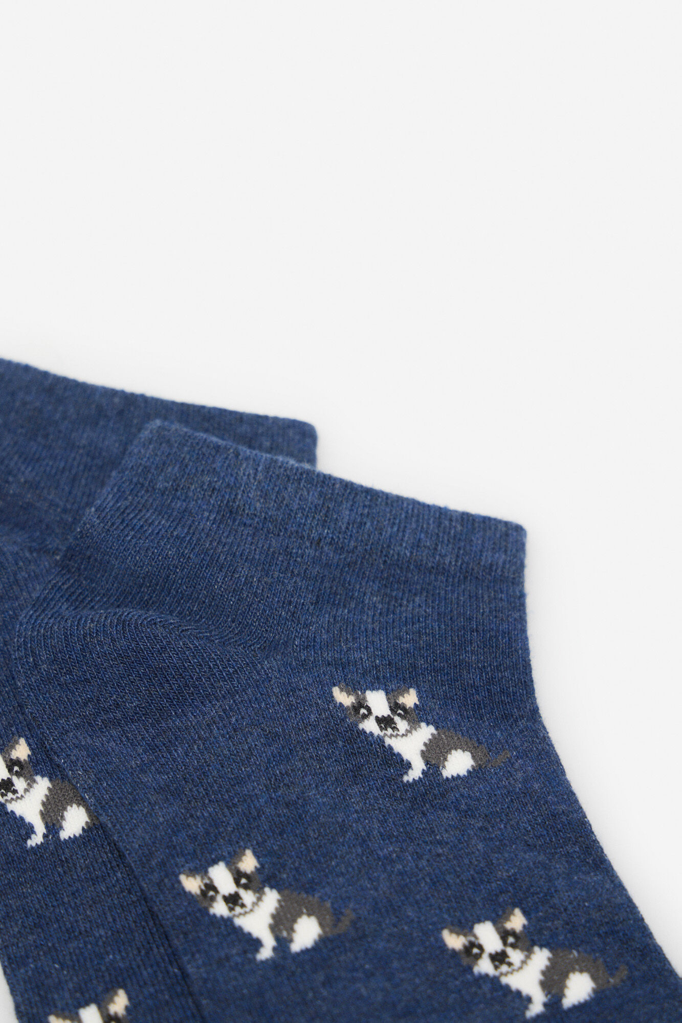 Cortefiel Bulldog short sock