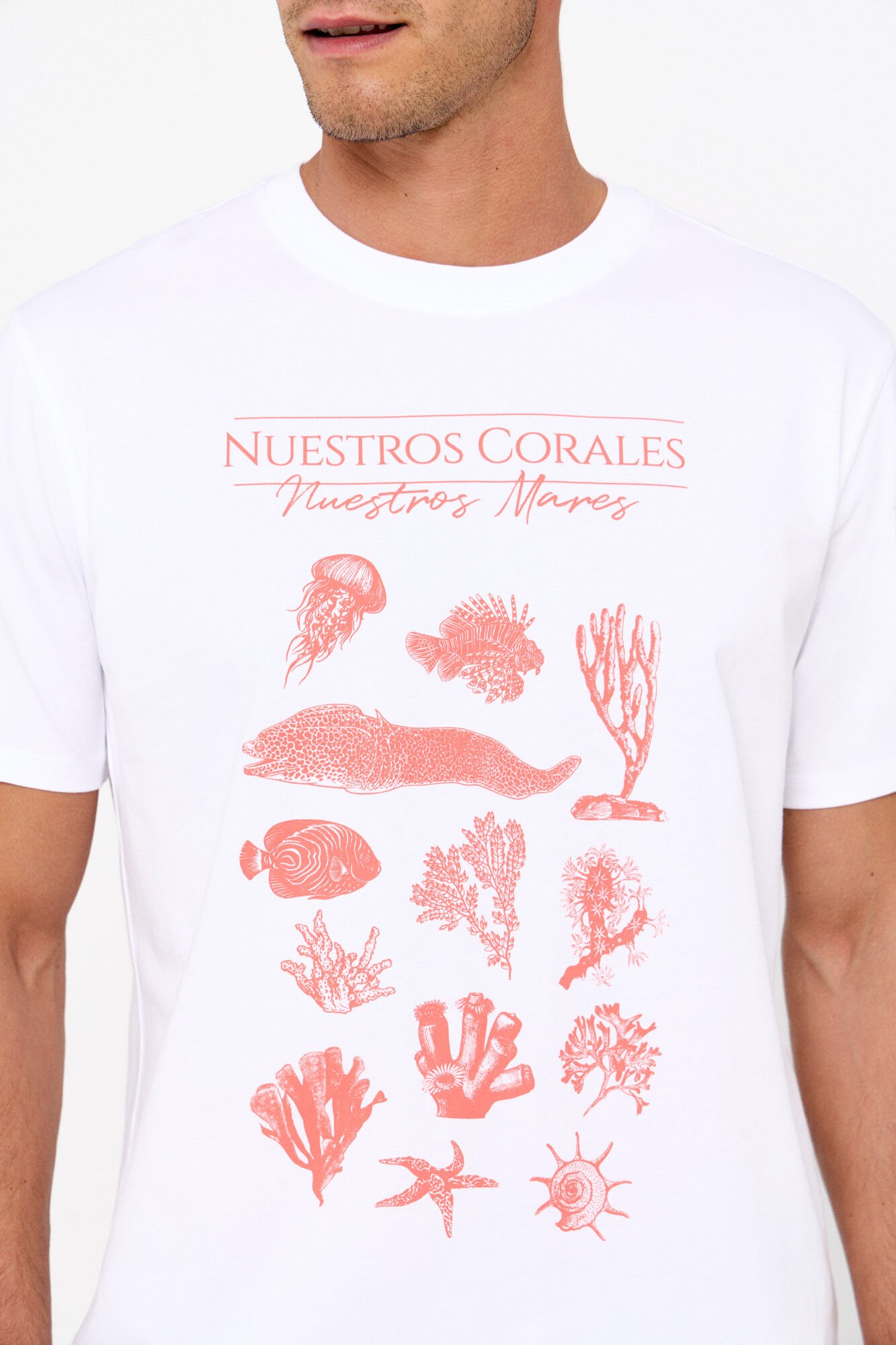 Cortefiel WWF collaboration graphic T-shirt