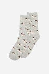 Cortefiel Long dog sock Grey