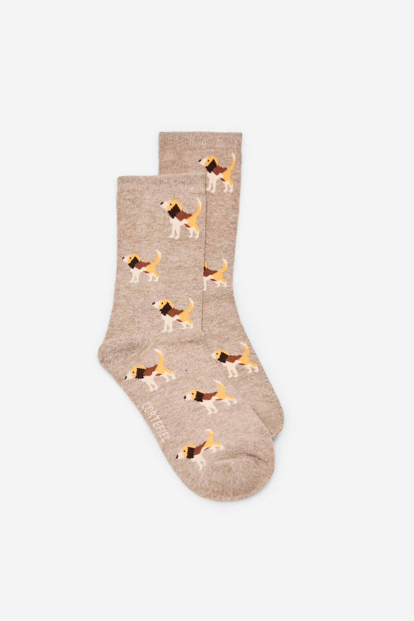 Cortefiel Beagle long socks
