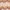 Estampado beige