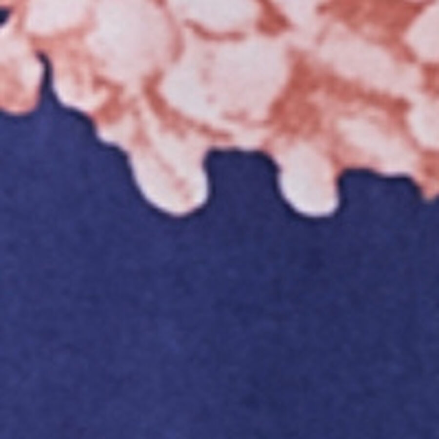 Imagen de muestra de color para productos