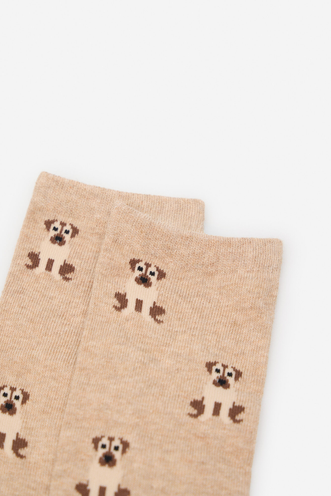 Cortefiel Long dog sock