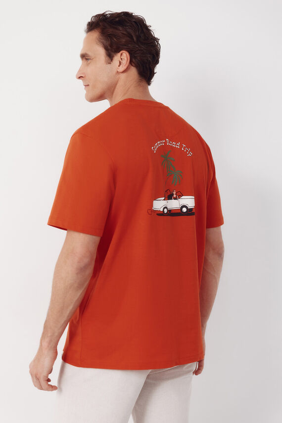 Camiseta gráfica