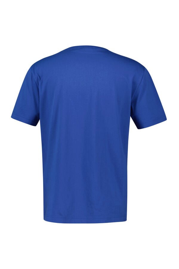 Gant Camiseta gráfica de manga curta Azul