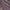 Roxo
