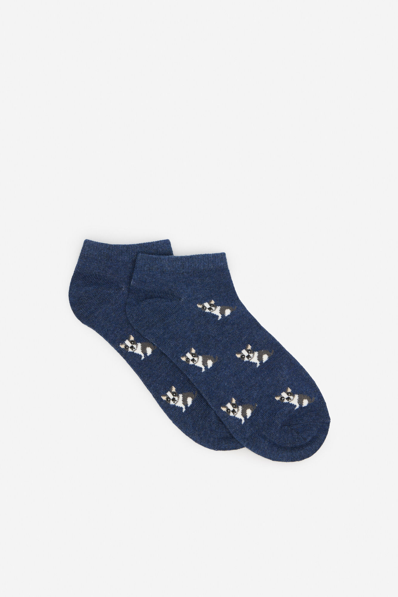 Cortefiel Bulldog short sock