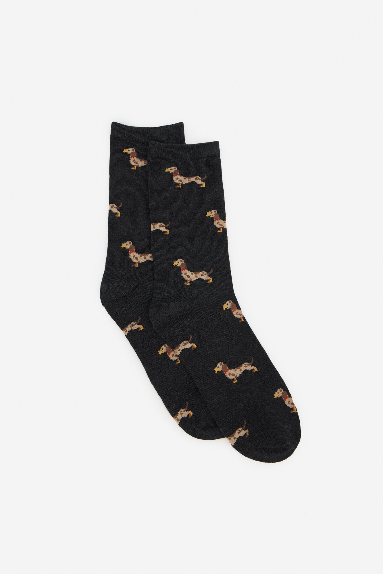 Cortefiel Dachshund long sock