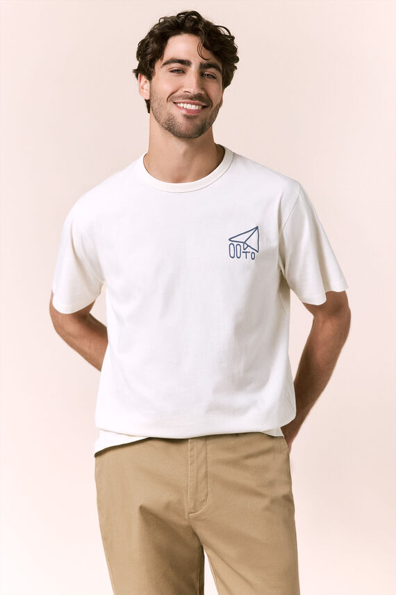 Camiseta avión pequeño