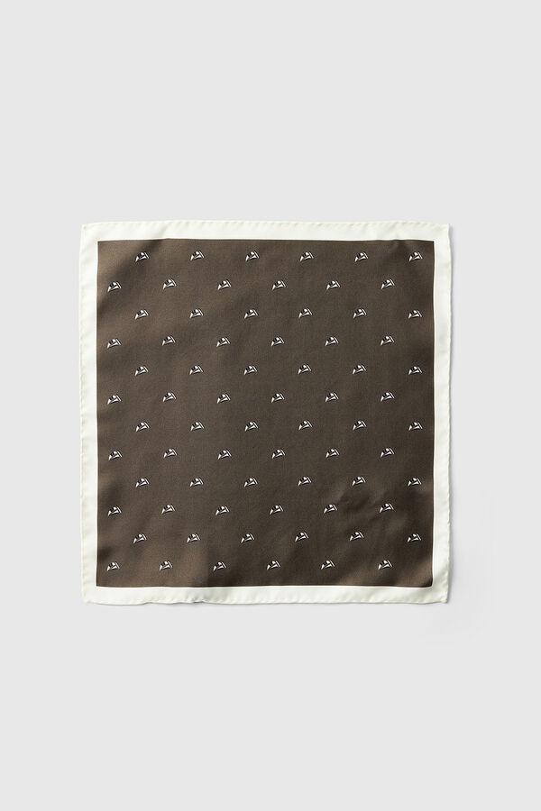 Selected Men's silk scarf Brown