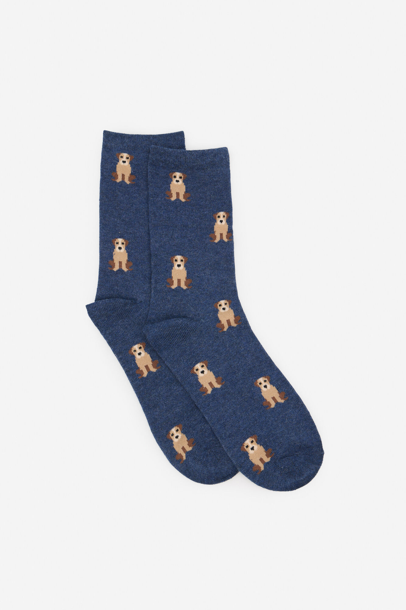 Cortefiel Long dog sock