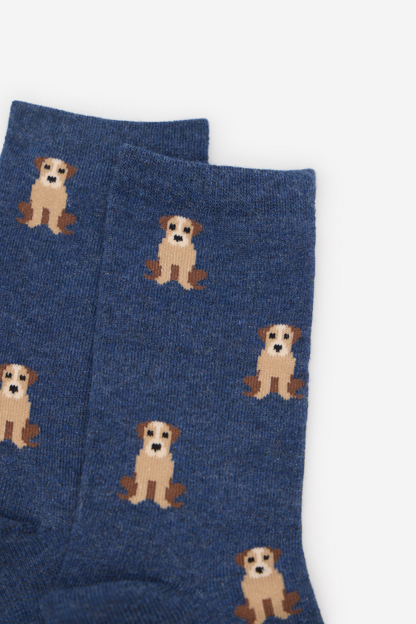Cortefiel Long dog sock