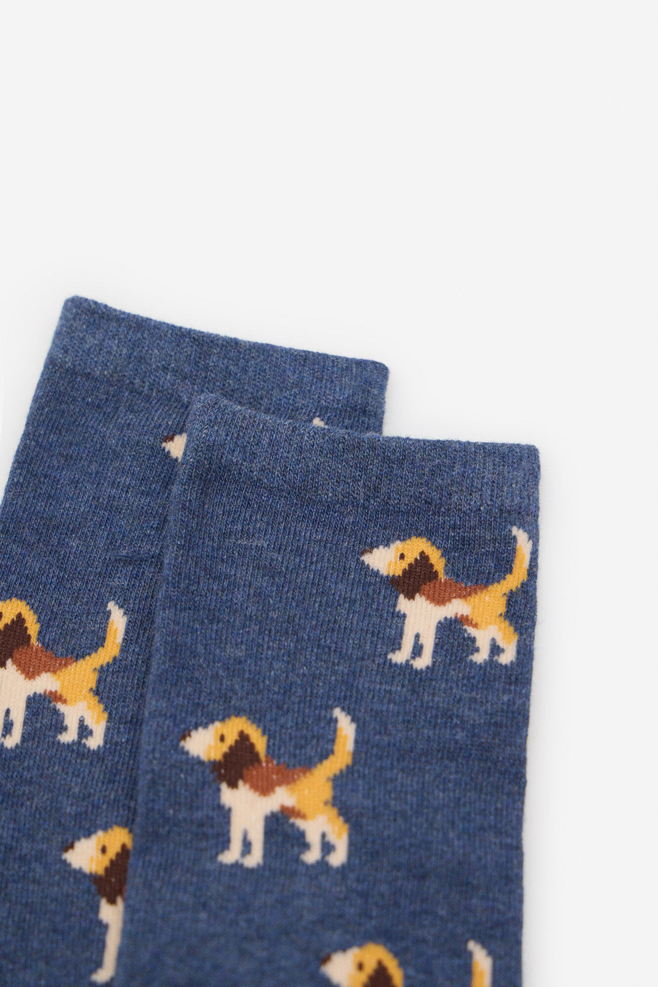 Cortefiel Beagle long sock