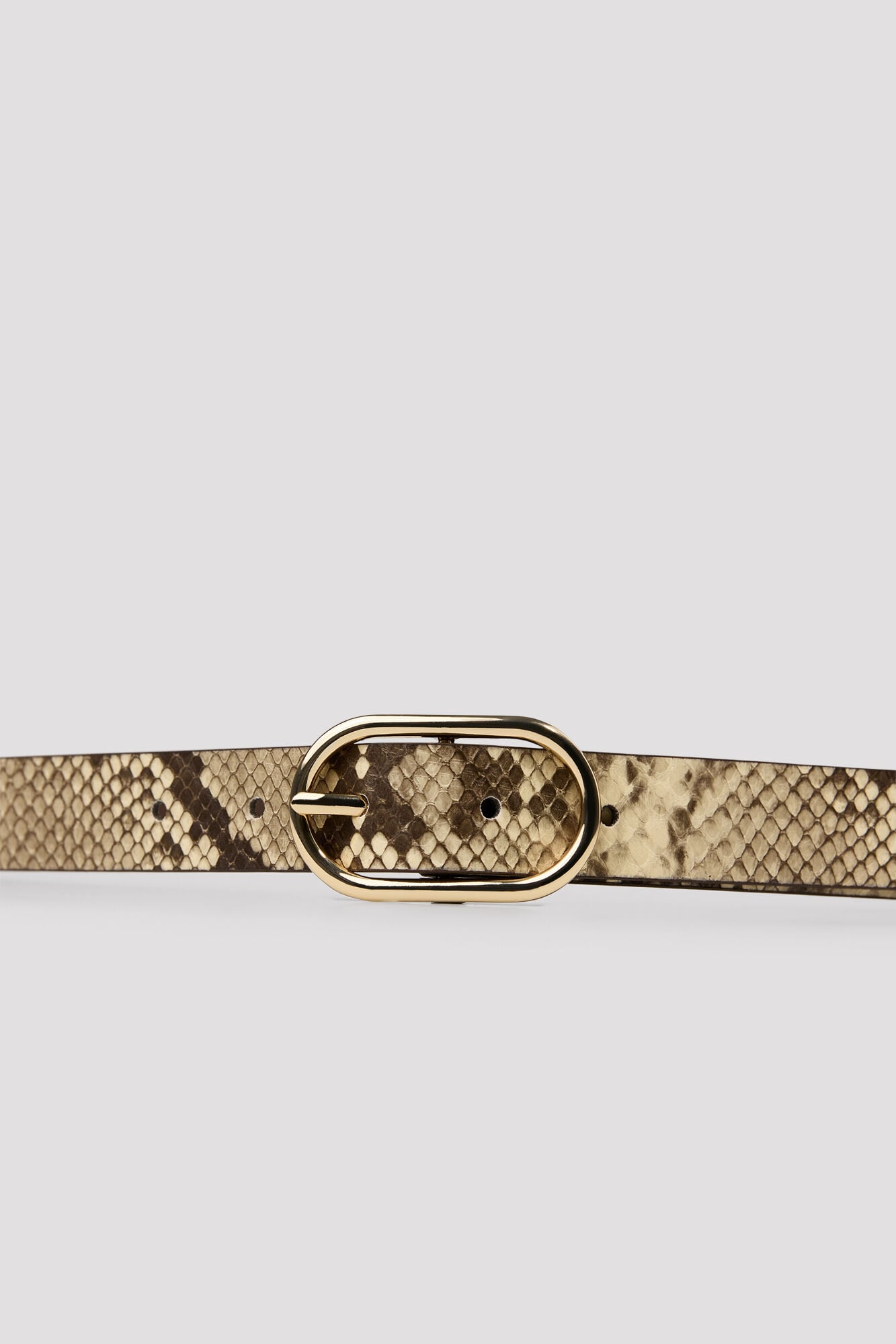 Cortefiel Animal print basic belt