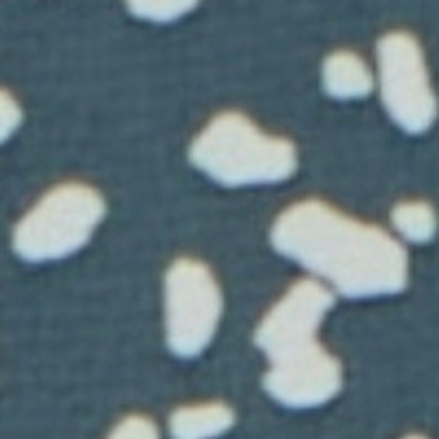 Imagen de muestra de color para productos