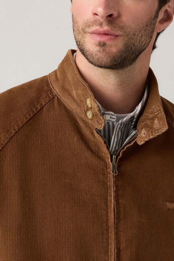 Levi's Casaco de veludo cotelê Levis®  Castanho