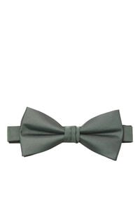Cortefiel Plain bow tie Green