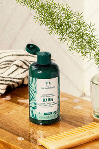 The Body Shop Acondicionador Purificante y Equilibrante de &Aacute;rbol de T&eacute; 250ml