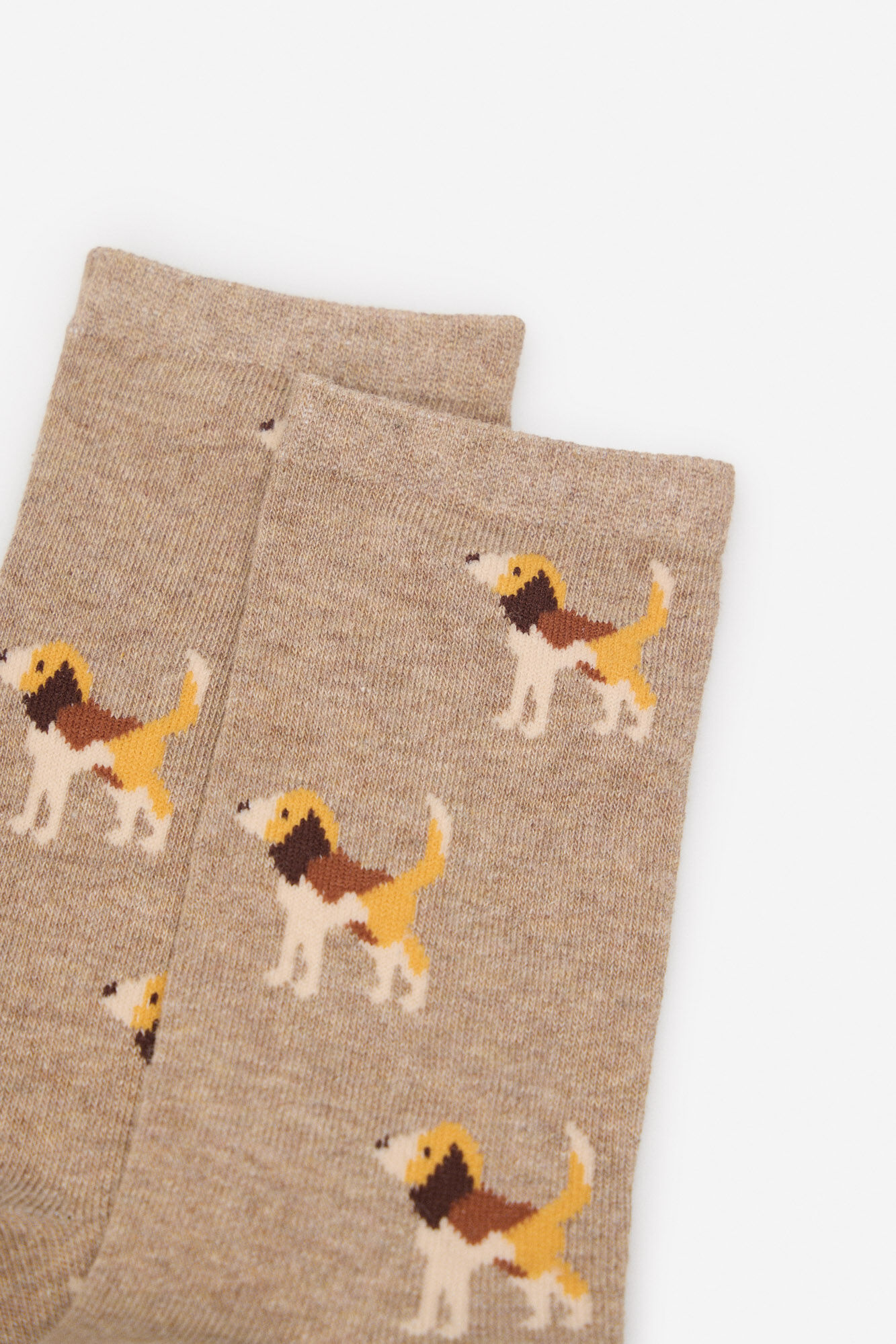 Cortefiel Beagle long sock