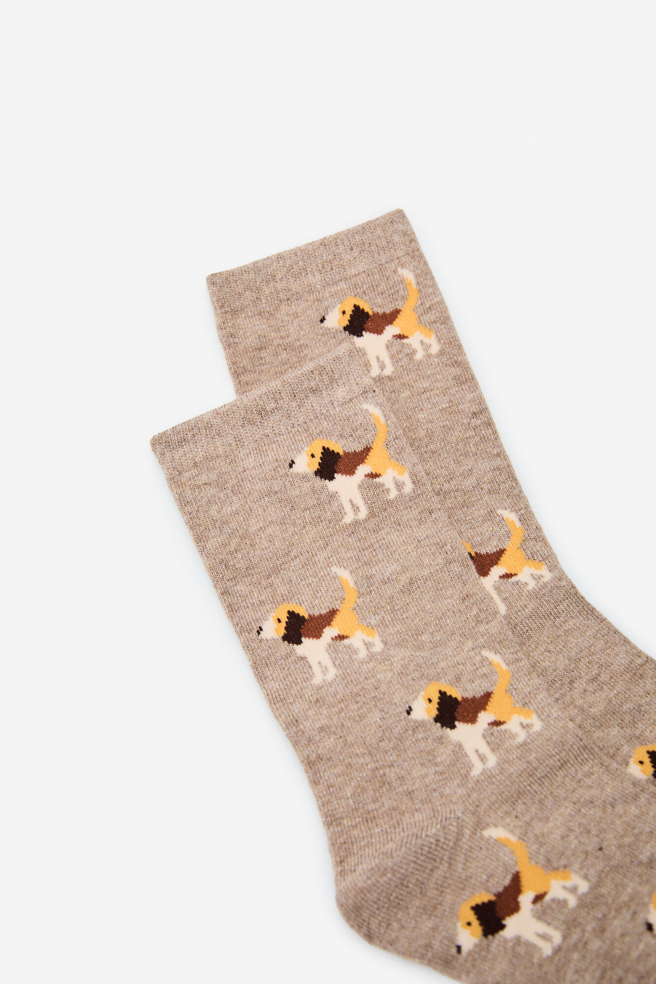 Cortefiel Beagle long socks
