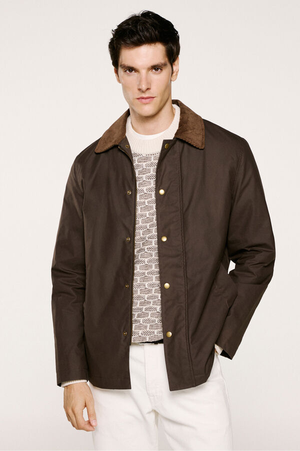 Selected Blus&atilde;o de gola de veludo cotel&ecirc; 100% algod&atilde;o org&acirc;nico  Castanho