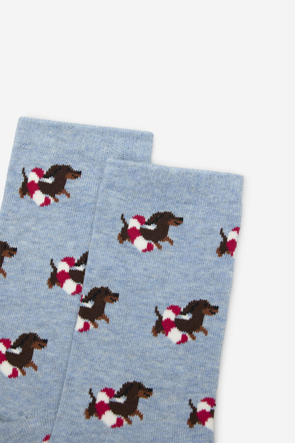 Cortefiel Long sock dog float Blue