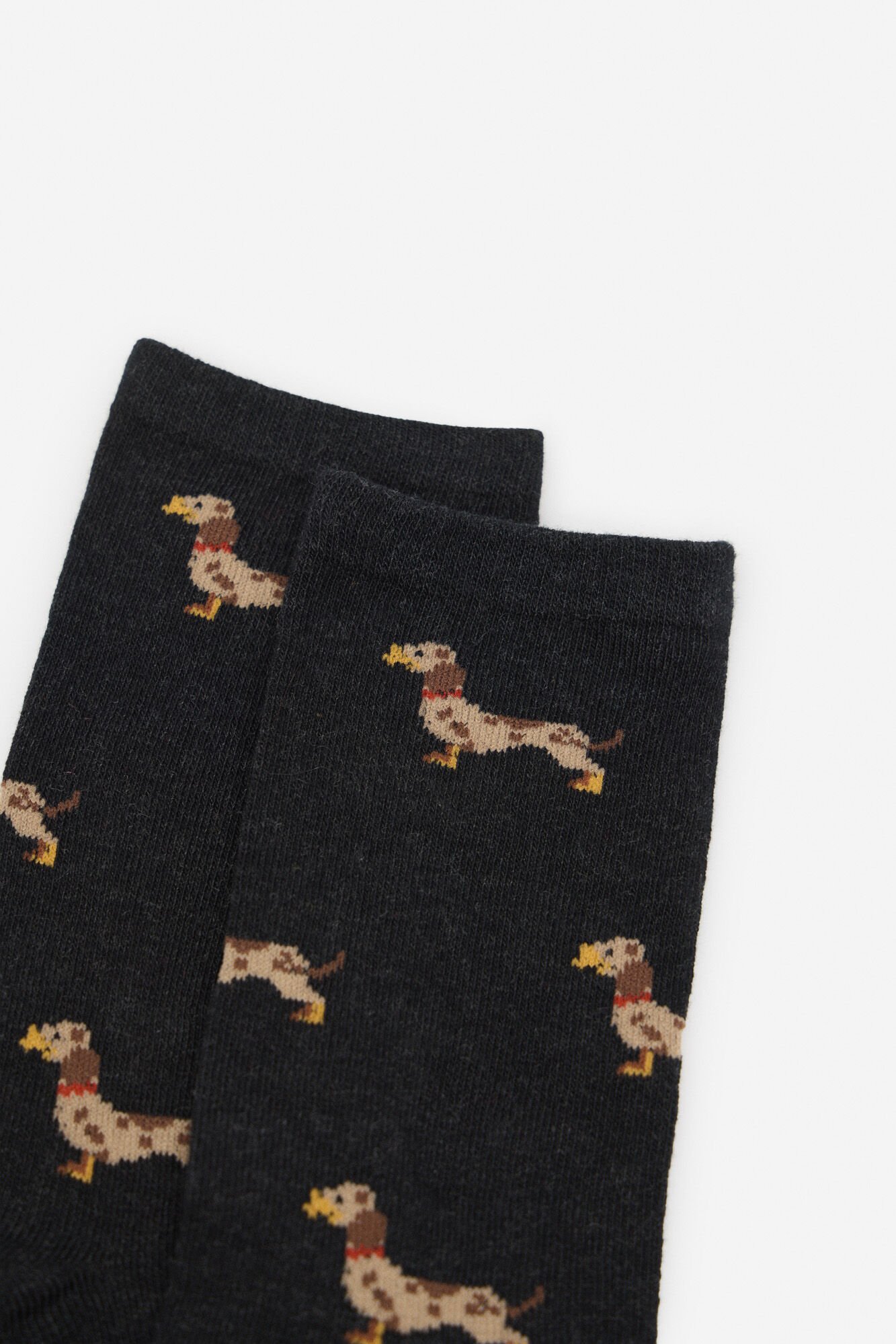 Cortefiel Dachshund long sock