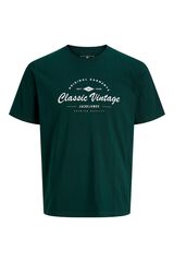 Jack & Jones Regular fit T-shirt Turquoise