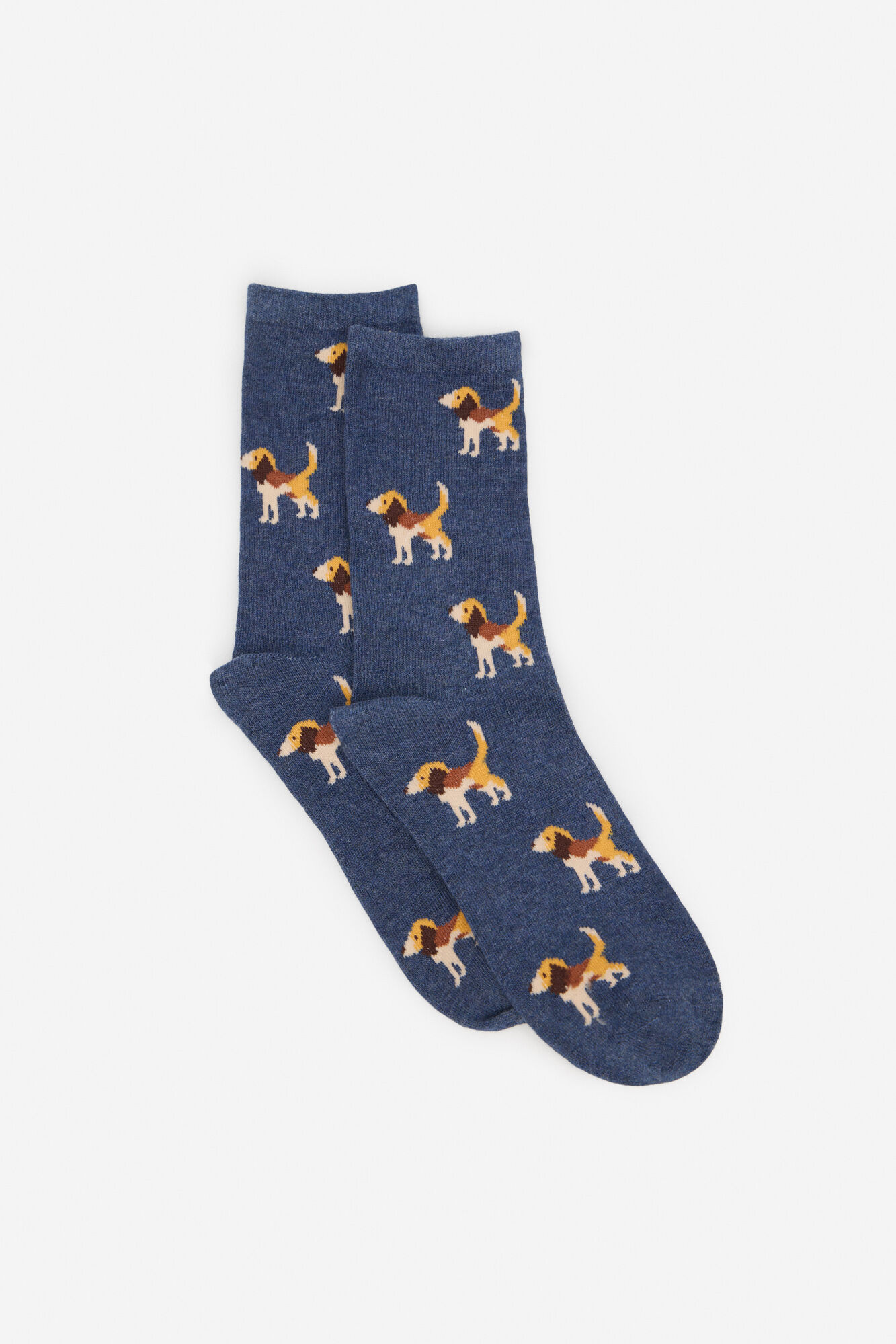 Cortefiel Beagle long sock