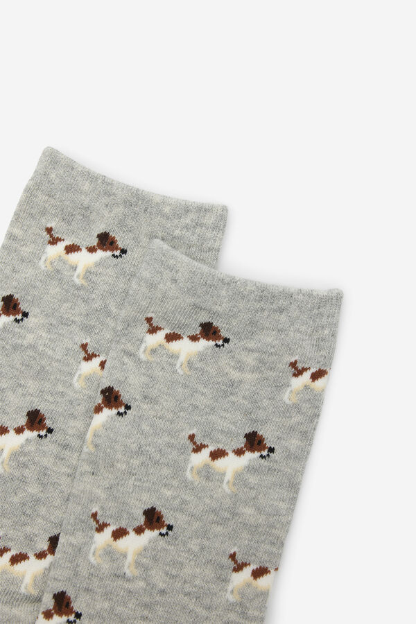 Cortefiel Long dog sock Grey