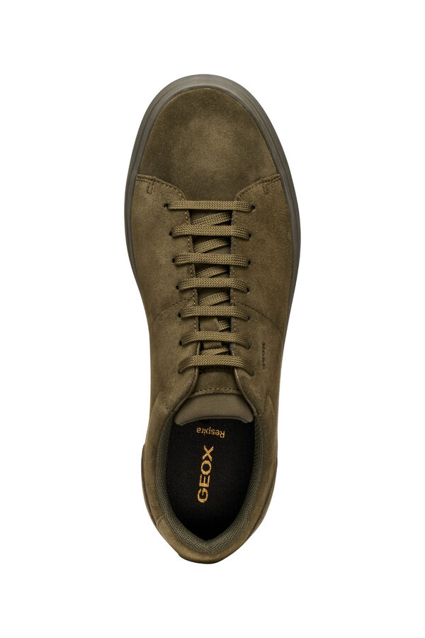 Geox Desportiva de Baltmoore Verde