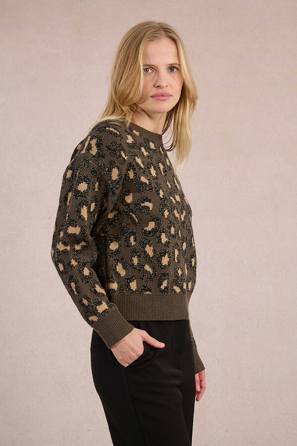 Molly Bracken Camisola de manga comprida com estampado animal Multicolorido