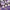 Roxo