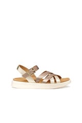 Geox Sand&aacute;lia D Xand 25 Tostado