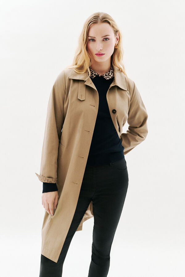 Caroll Gelisol de trench Tostado