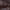 Castanho
